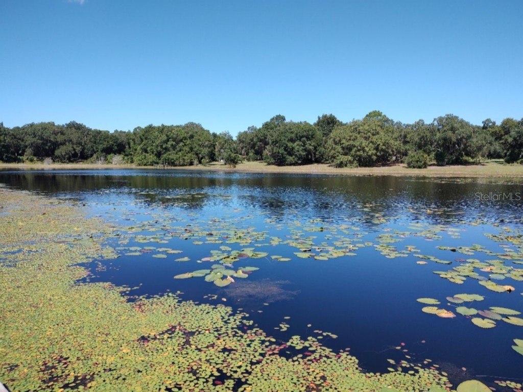 11360 SE 188th Avenue Ocklawaha FL 32179 - LAKE CATHERINE O6335187 image50