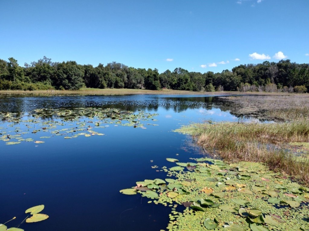 11360 SE 188th Avenue Ocklawaha FL 32179 - LAKE CATHERINE O6335187 image51