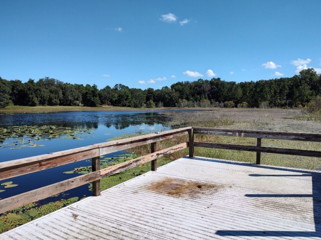 11360 SE 188th Avenue Ocklawaha FL 32179 - LAKE CATHERINE O6335187 image52