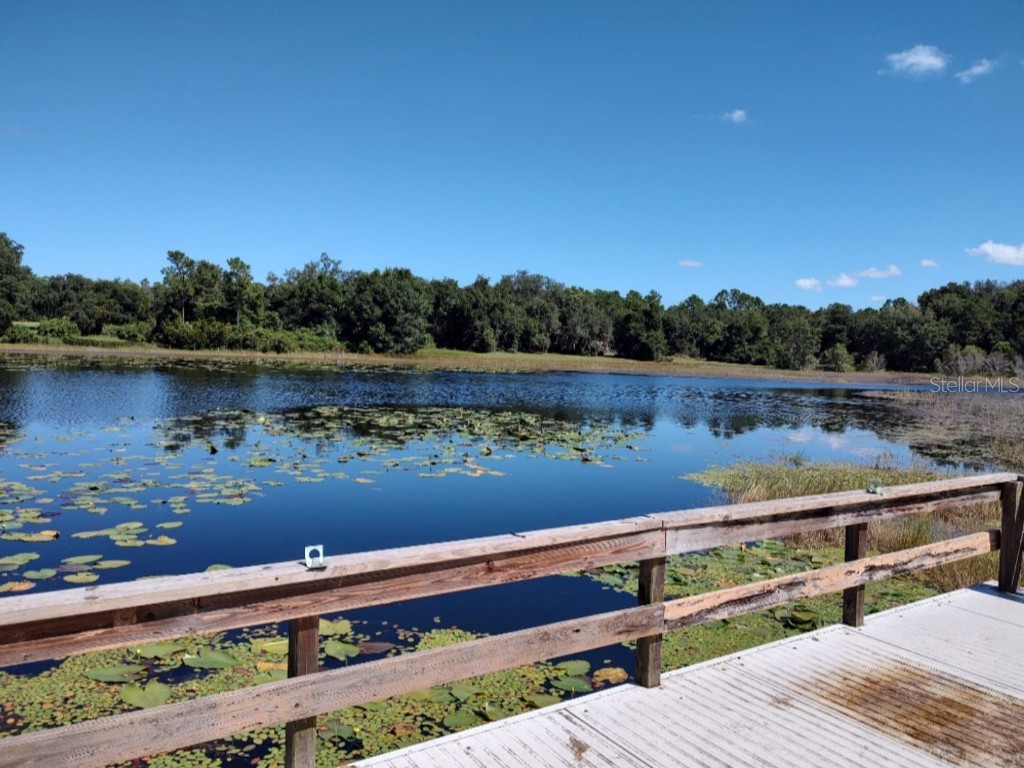 11360 SE 188th Avenue Ocklawaha FL 32179 - LAKE CATHERINE O6335187 image53