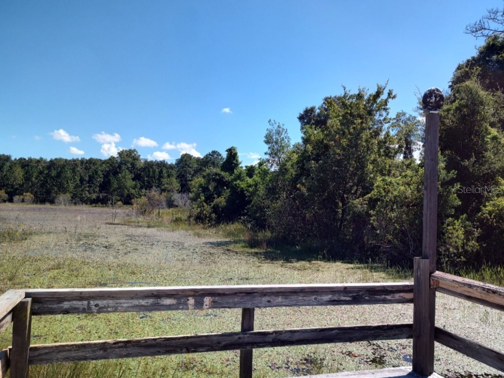 11360 SE 188th Avenue Ocklawaha FL 32179 - LAKE CATHERINE O6335187 image54