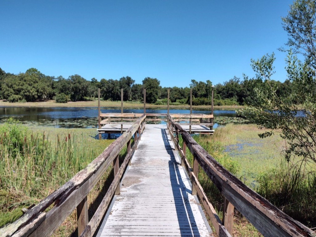 11360 SE 188th Avenue Ocklawaha FL 32179 - LAKE CATHERINE O6335187 image55