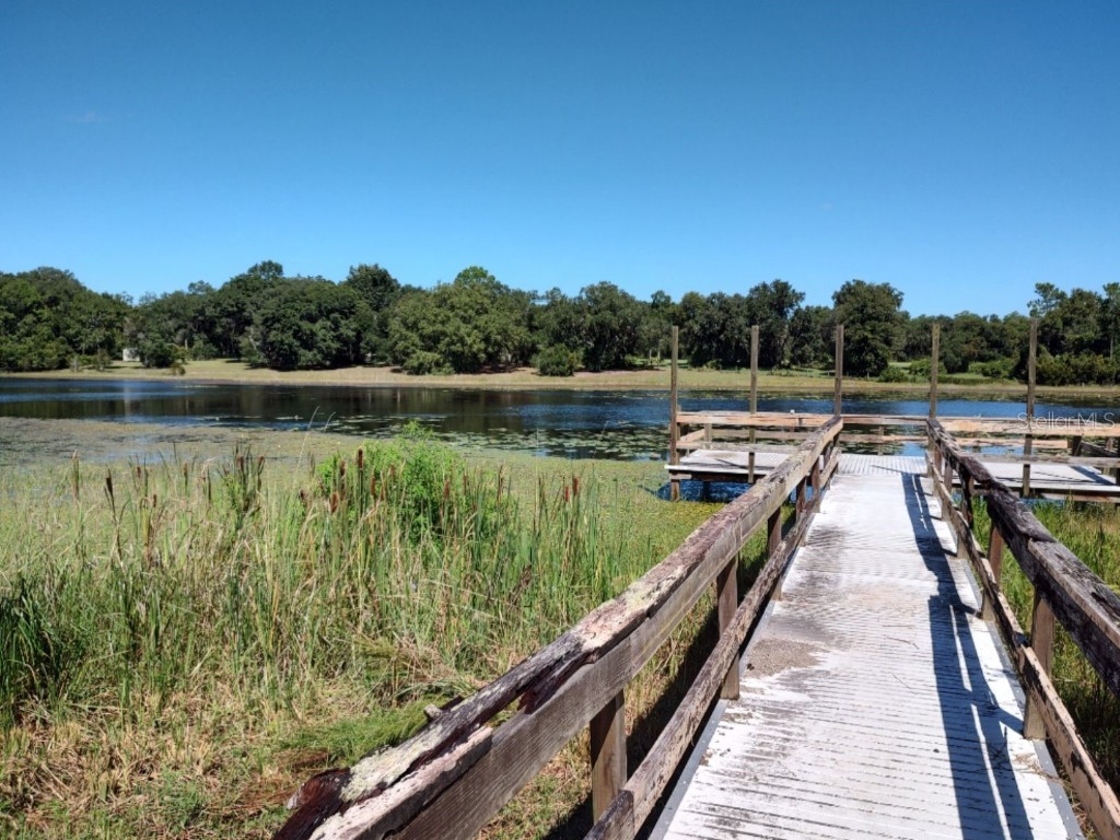 11360 SE 188th Avenue Ocklawaha FL 32179 - LAKE CATHERINE O6335187 image56