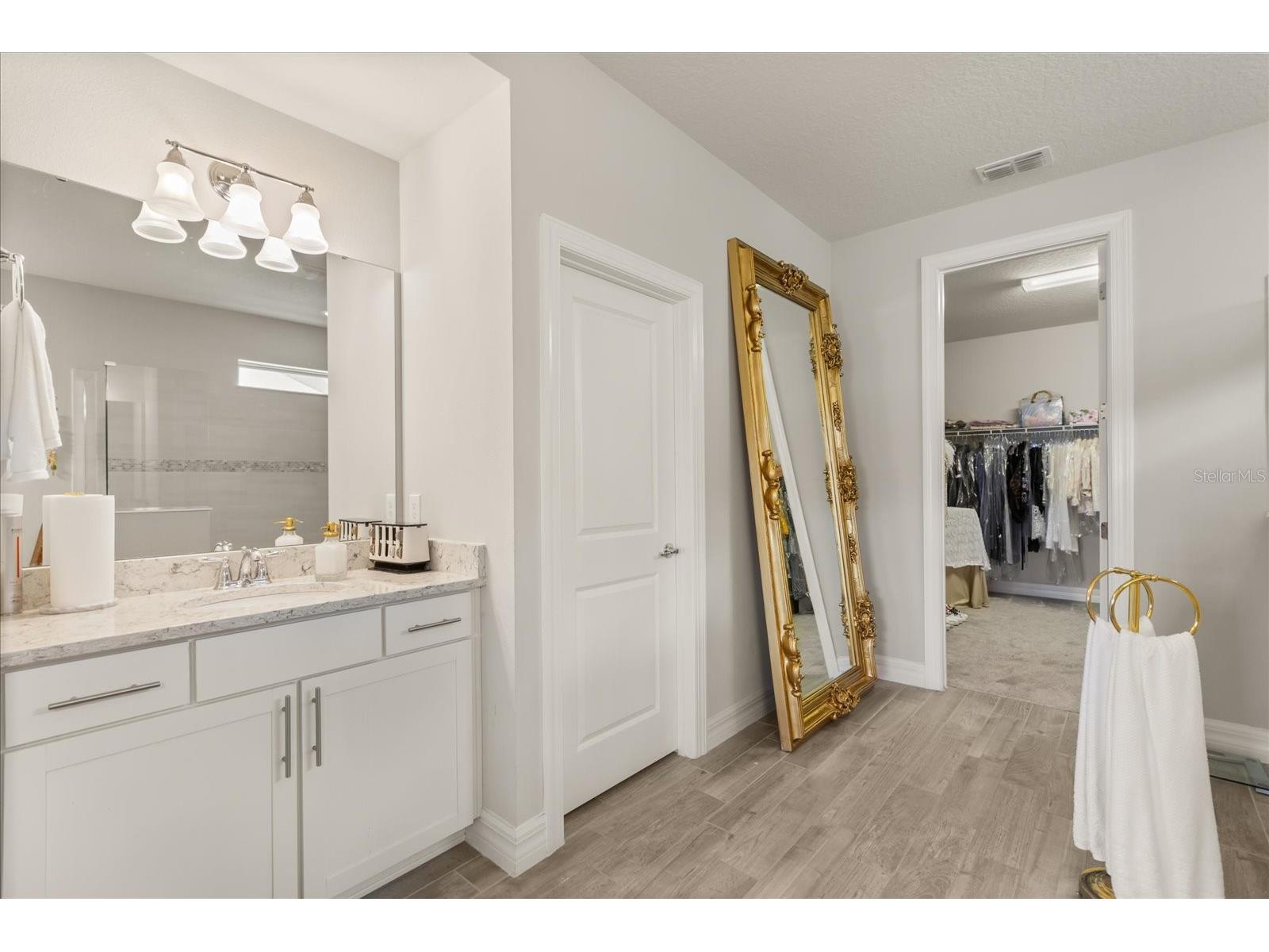 11364 Lemon Lake Boulevard Orlando FL 32836 - LAKE RUBY O6398787 image15