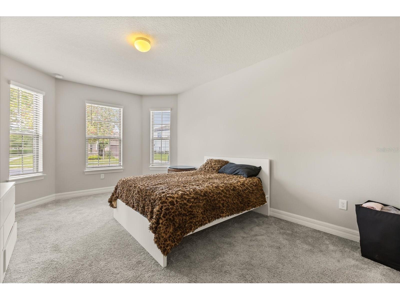 11364 Lemon Lake Boulevard Orlando FL 32836 - LAKE RUBY O6398787 image16
