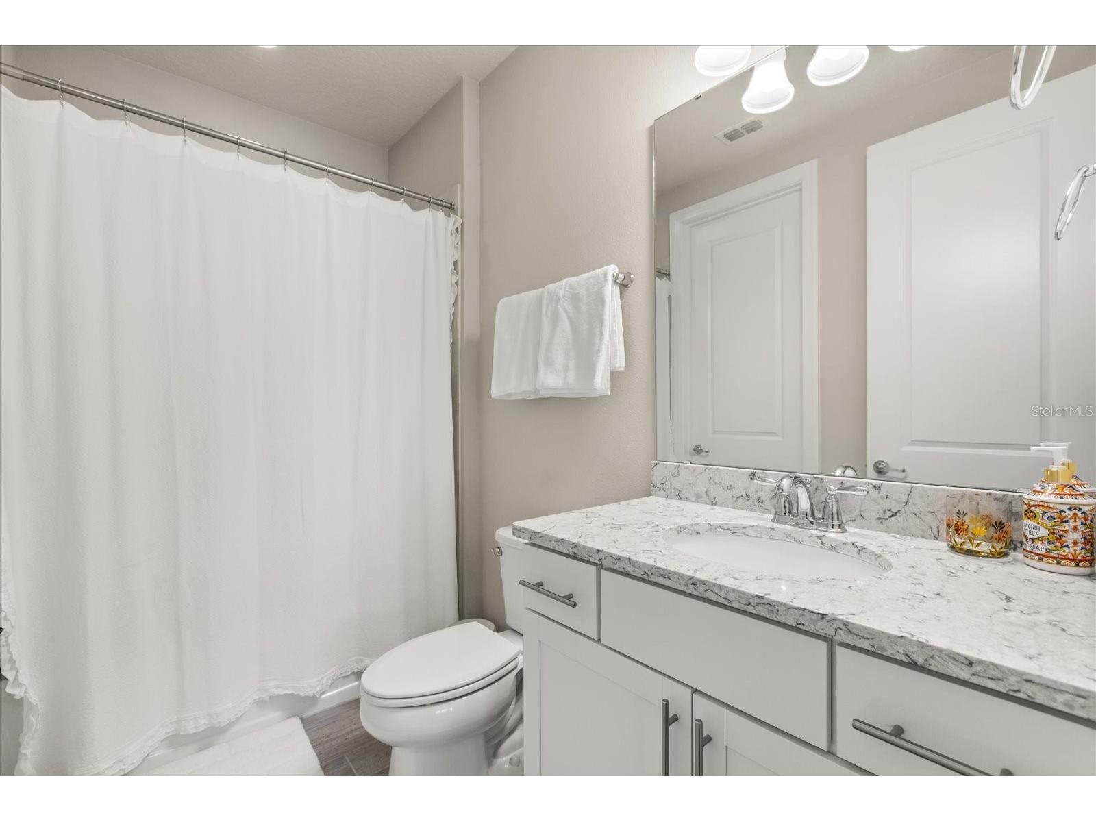 11364 Lemon Lake Boulevard Orlando FL 32836 - LAKE RUBY O6398787 image21