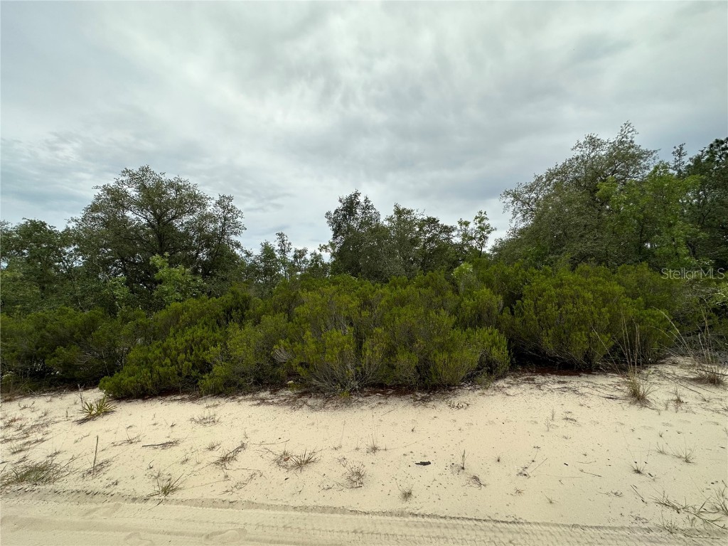 11364 NE 67th Place Bronson FL 32621 OM658162 image1