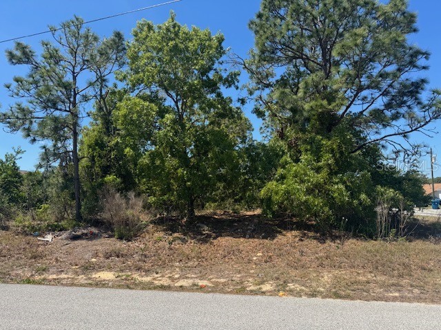11364 Patch Street Spring Hill FL 34609 W7884849 image1