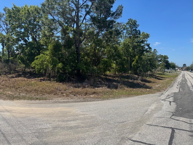 11364 Patch Street Spring Hill FL 34609 W7884849 image3