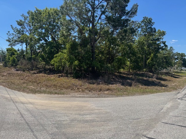 11364 Patch Street Spring Hill FL 34609 W7884849 image4