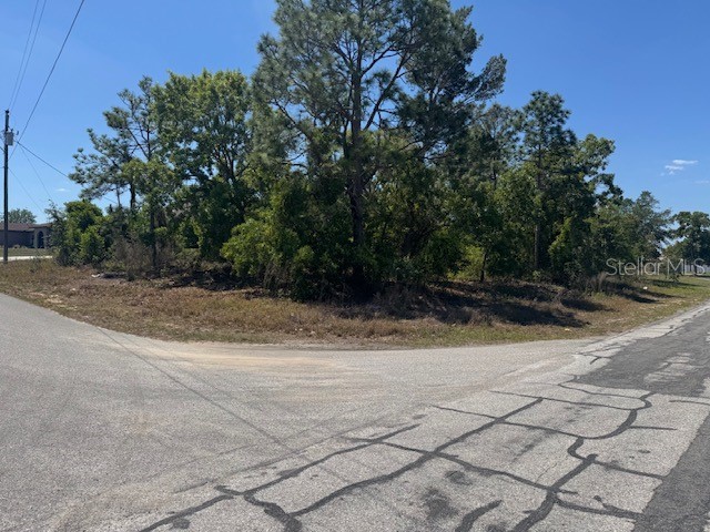 11364 Patch Street Spring Hill FL 34609 W7884849 image5