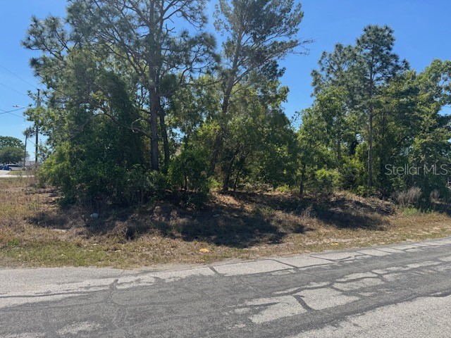 11364 Patch Street Spring Hill FL 34609 W7884849 image6