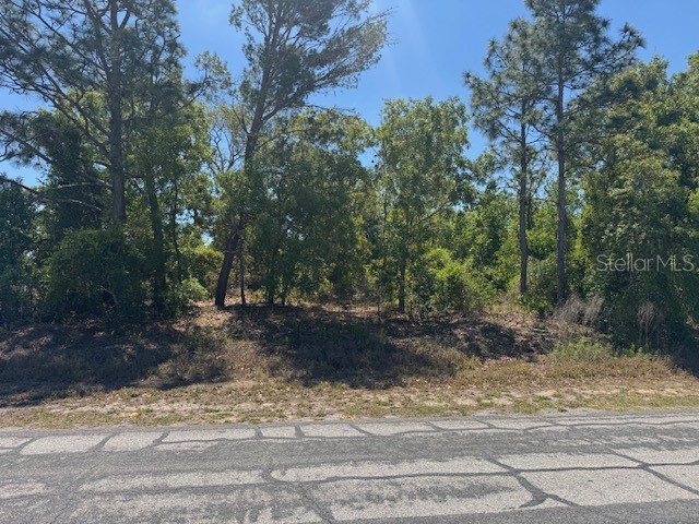 11364 Patch Street Spring Hill FL 34609 W7884849 image7
