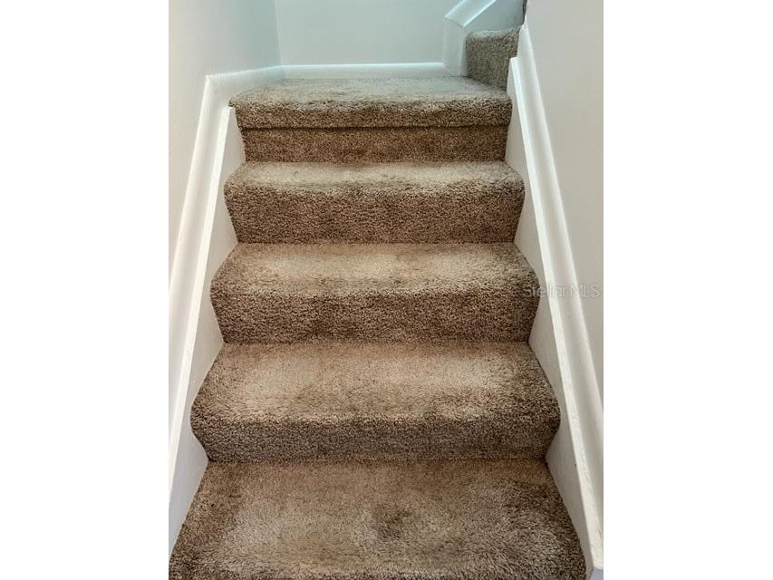 11365 Brookgreen Drive Tampa FL 33624 TB8507551 image12