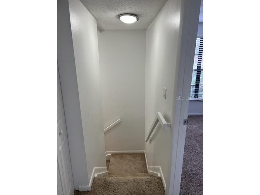 11365 Brookgreen Drive Tampa FL 33624 TB8507551 image13