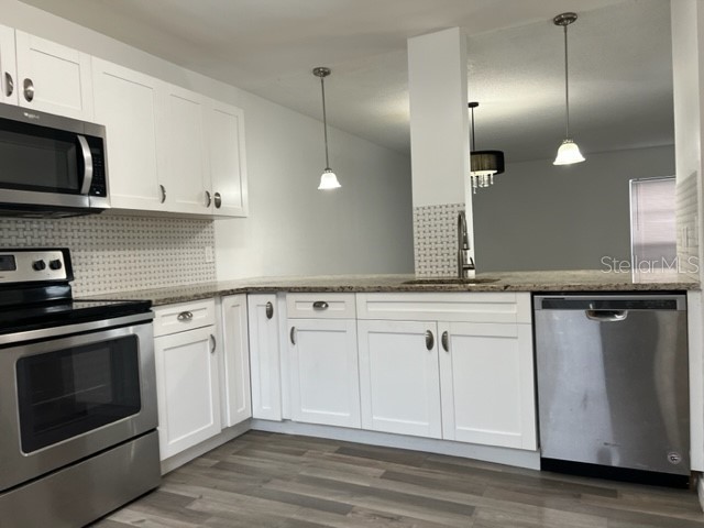 11365 Brookgreen Drive Tampa FL 33624 TB8507551 image8