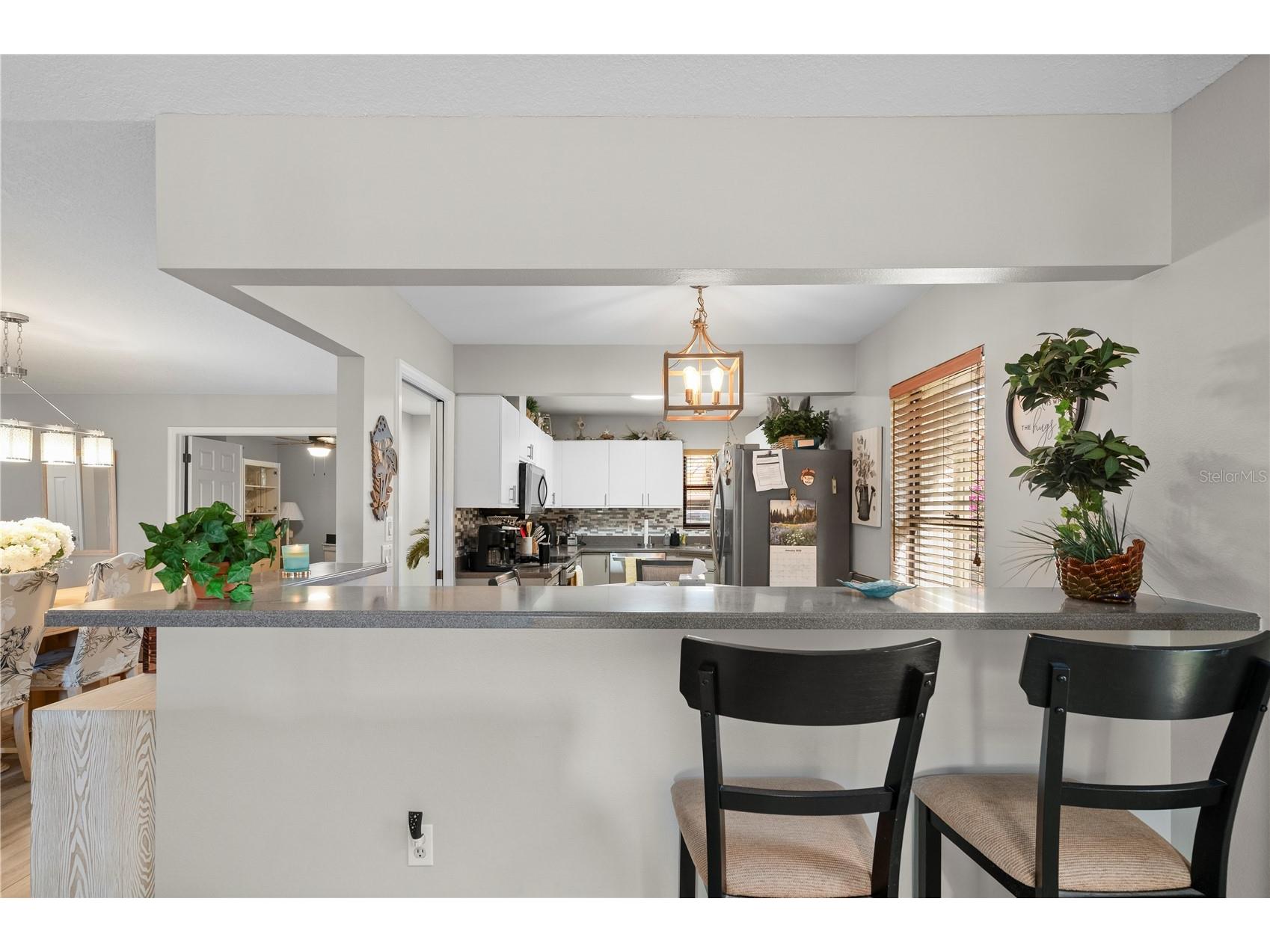 11365 SW Essex Drive Lake Suzy FL 34269 C7520925 image17