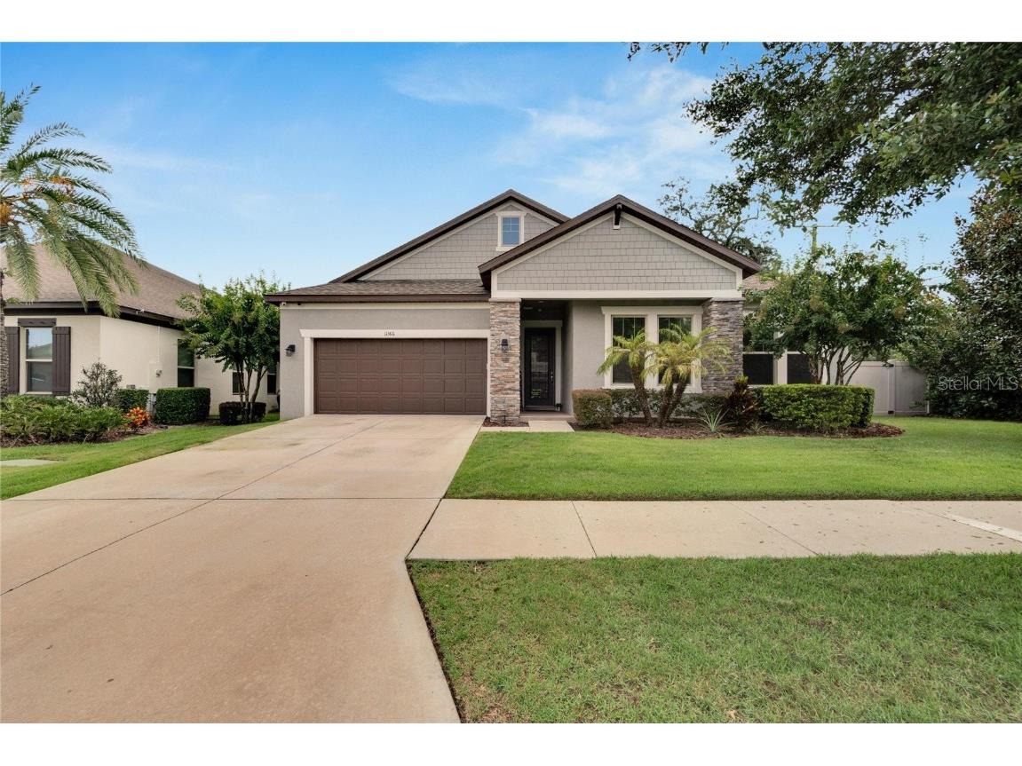 11366 American Holly Drive Riverview FL 33578 T3549866 image1