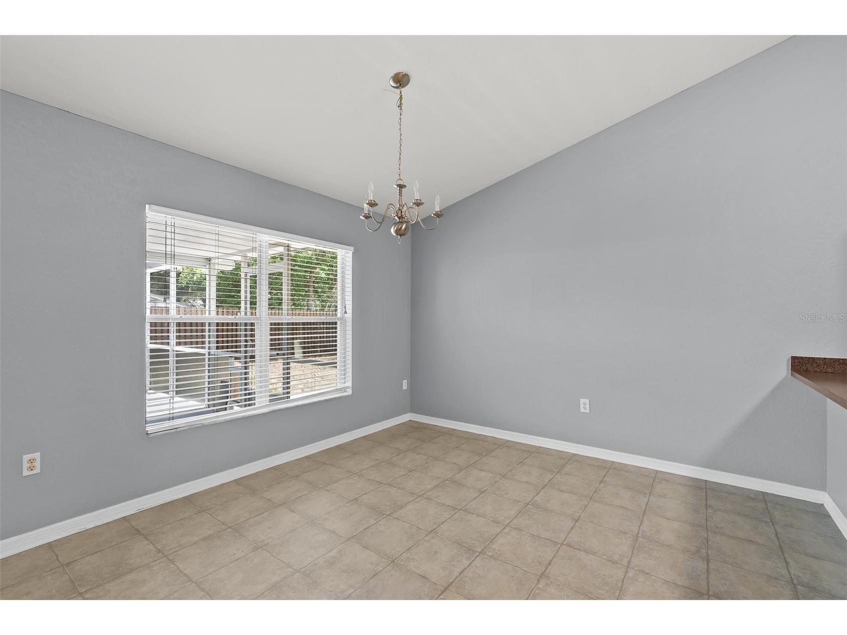 11366 Riddle Drive Spring Hill FL 34609 TB8499533 image14
