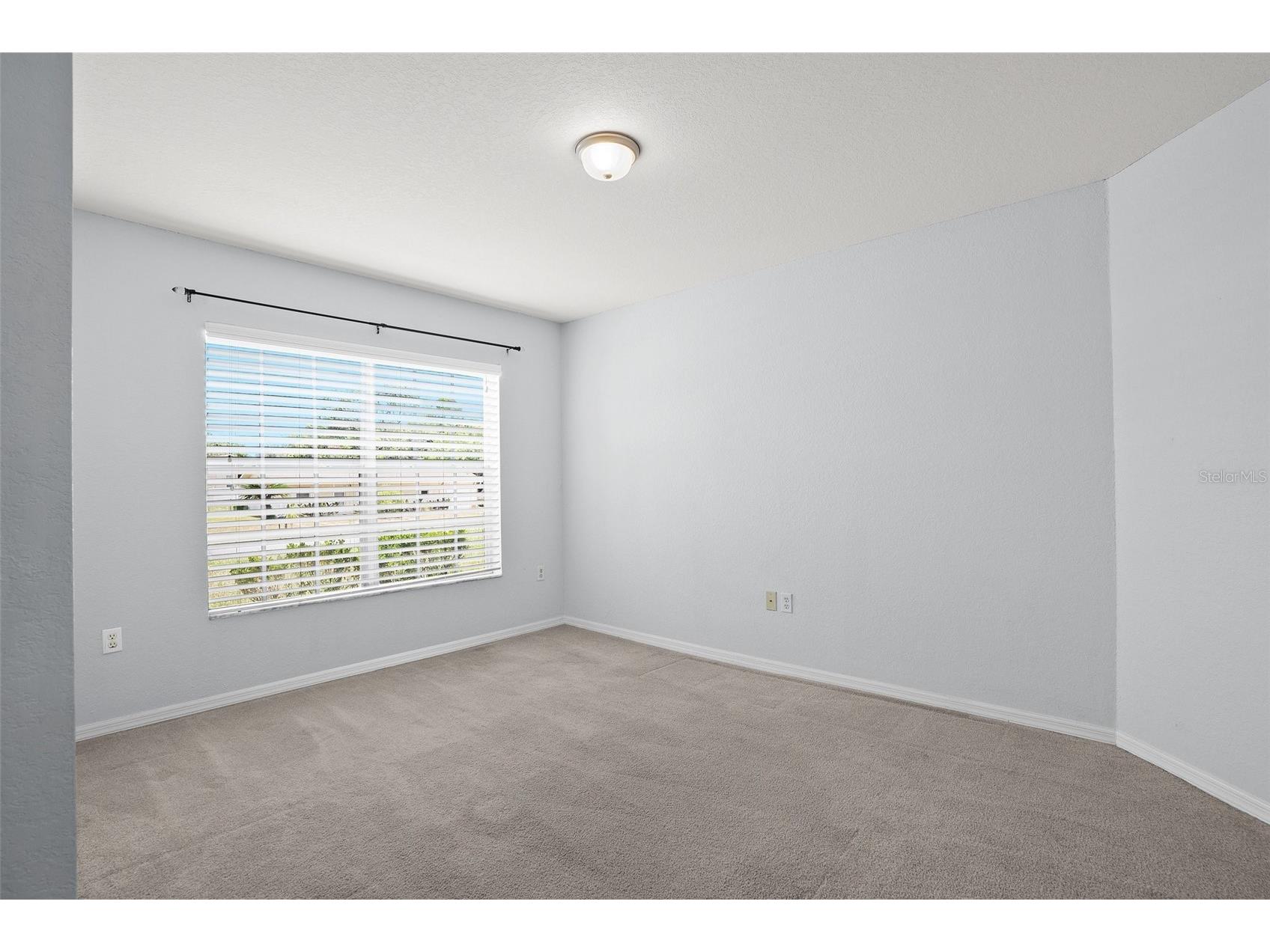11366 Riddle Drive Spring Hill FL 34609 TB8499533 image7