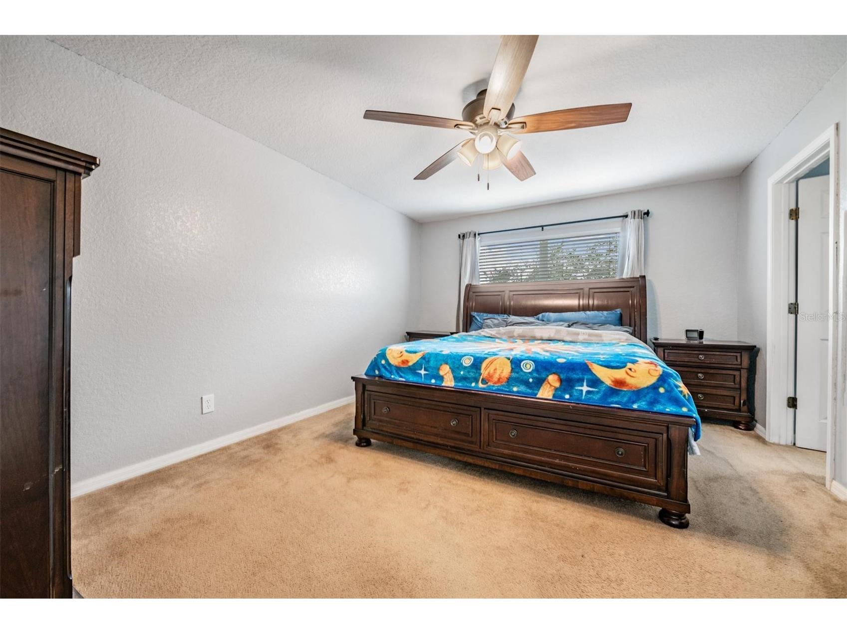 11367 Cocoa Beach Drive Riverview FL 33569 TB8504131 image10