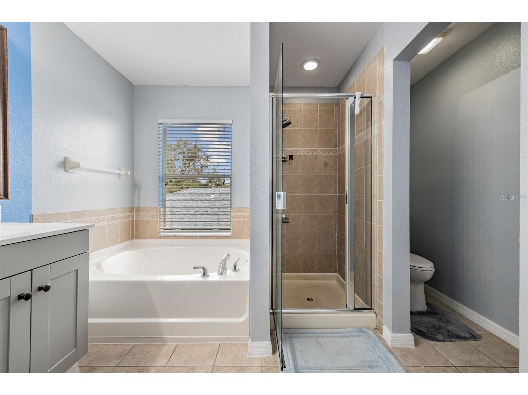 11367 Cocoa Beach Drive Riverview FL 33569 TB8504131 image12