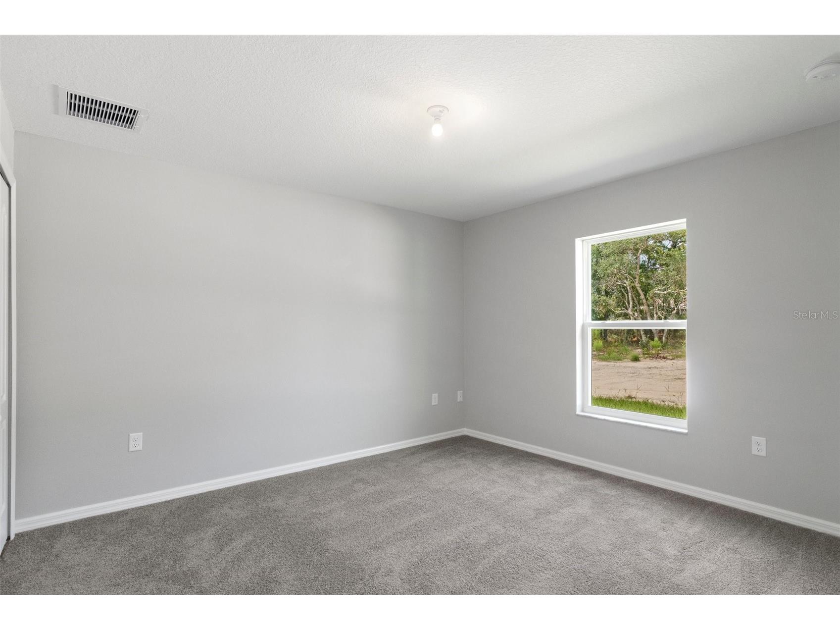 11367 Latchwood Avenue Weeki Wachee FL 34614 W7884019 image32