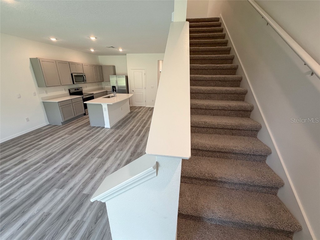 11367 Velvet Apricot Drive Land O Lakes FL 34638 TB8448210 image21