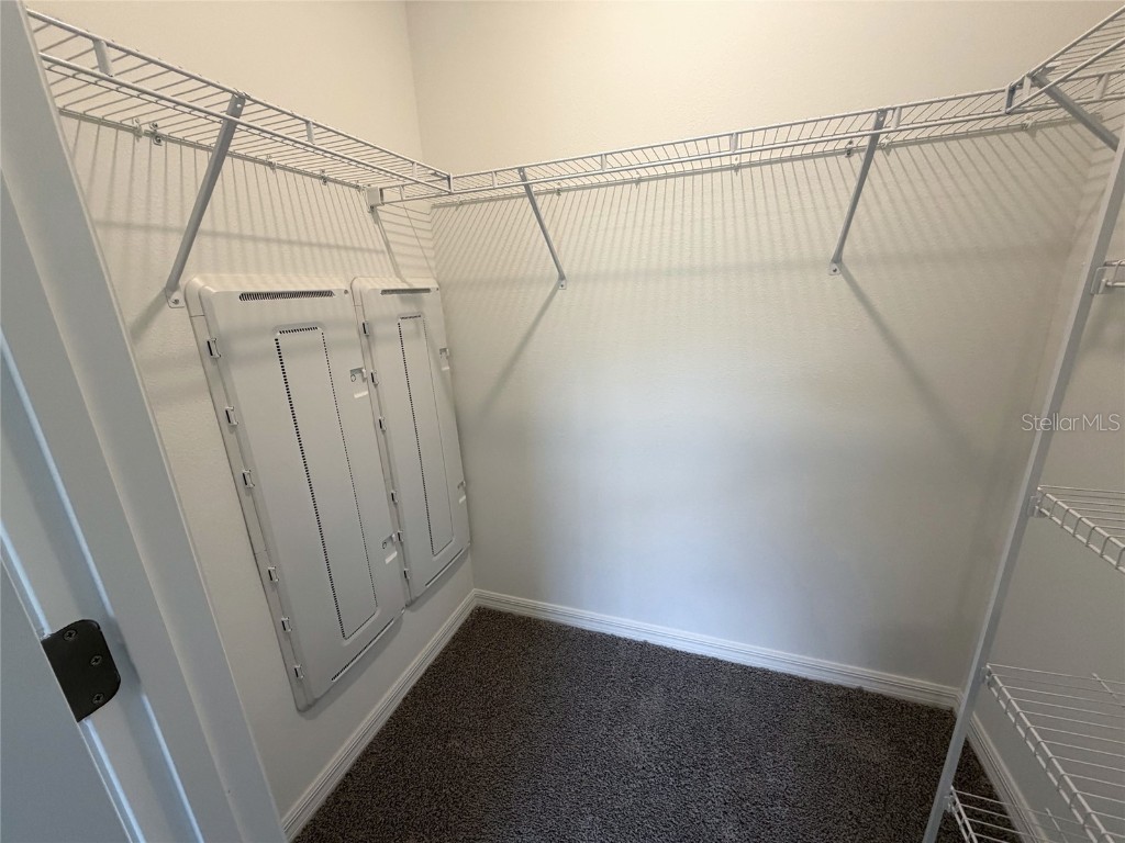 11367 Velvet Apricot Drive Land O Lakes FL 34638 TB8448210 image24