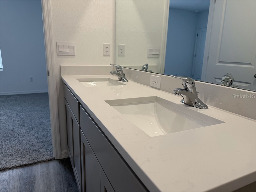 11367 Velvet Apricot Drive Land O Lakes FL 34638 TB8448210 image28