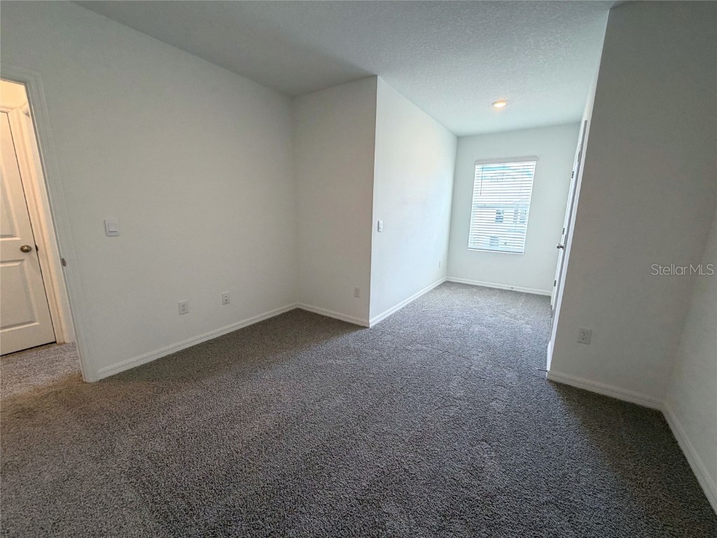 11367 Velvet Apricot Drive Land O Lakes FL 34638 TB8448210 image30