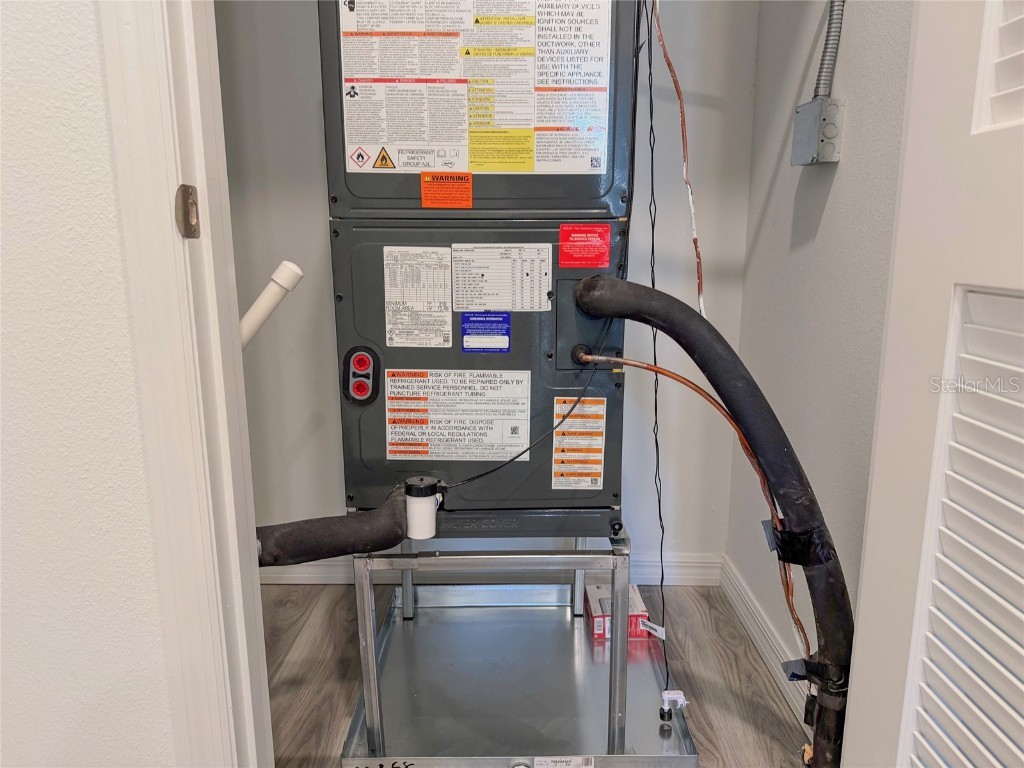 11367 Velvet Apricot Drive Land O Lakes FL 34638 TB8448210 image40