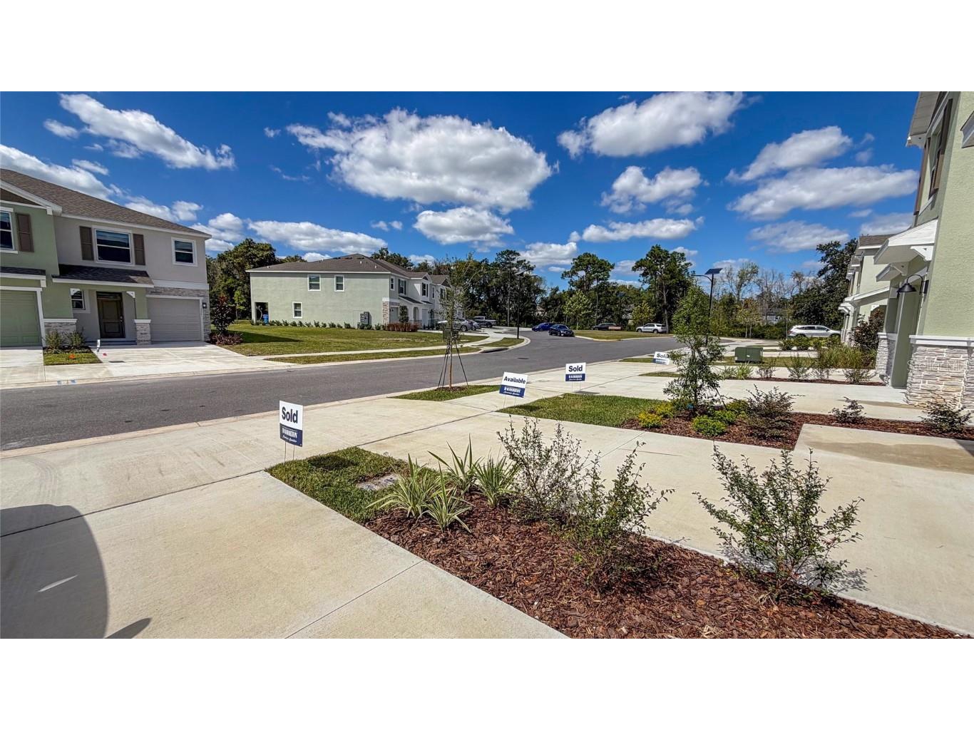 11367 Velvet Apricot Drive Land O Lakes FL 34638 TB8448210 image45