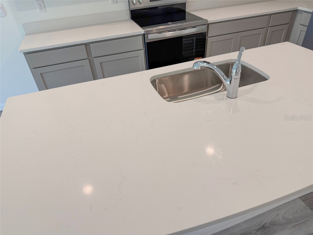 11367 Velvet Apricot Drive Land O Lakes FL 34638 TB8448210 image6