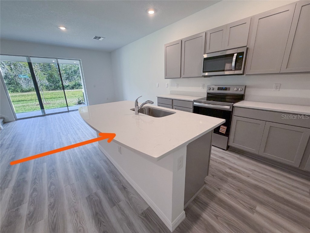 11367 Velvet Apricot Drive Land O Lakes FL 34638 TB8448210 image9