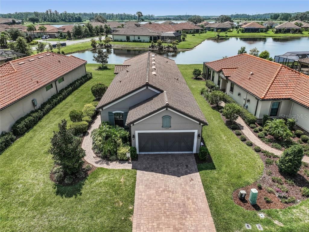 11368 Callisia Drive Odessa FL 33556 O6123711 image1