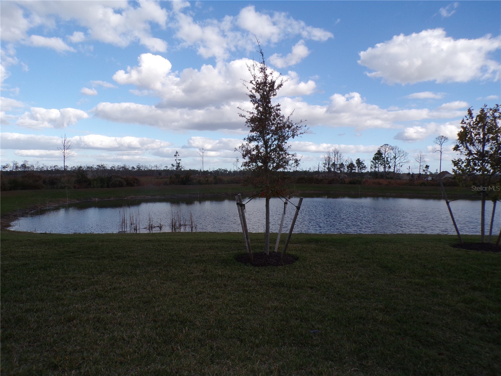 11369 Willowleaf Boulevard Punta Gorda FL 33955 C7519348 image15