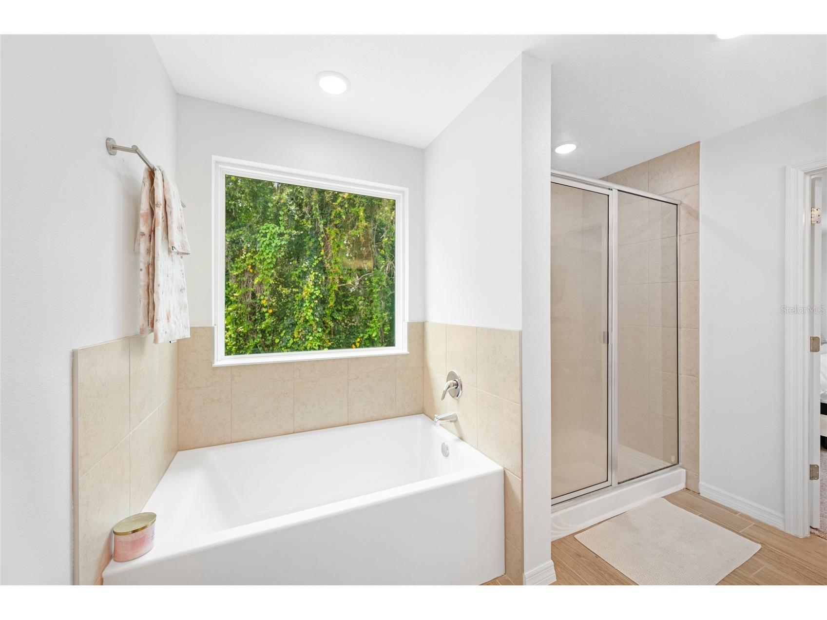 1137 Bradford Ridge Drive Leesburg FL 34748 O6418323 image19