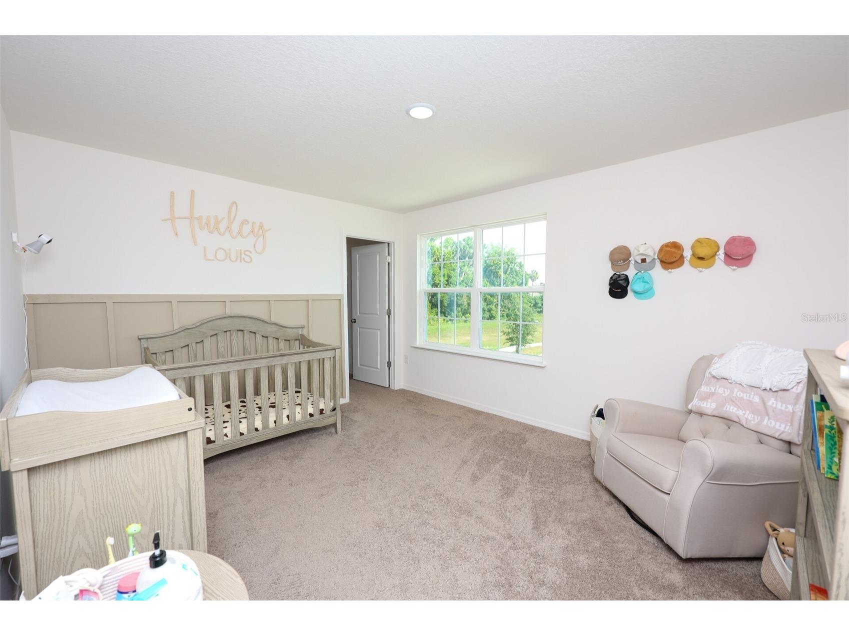 1137 Bradford Ridge Drive Leesburg FL 34748 O6418323 image22