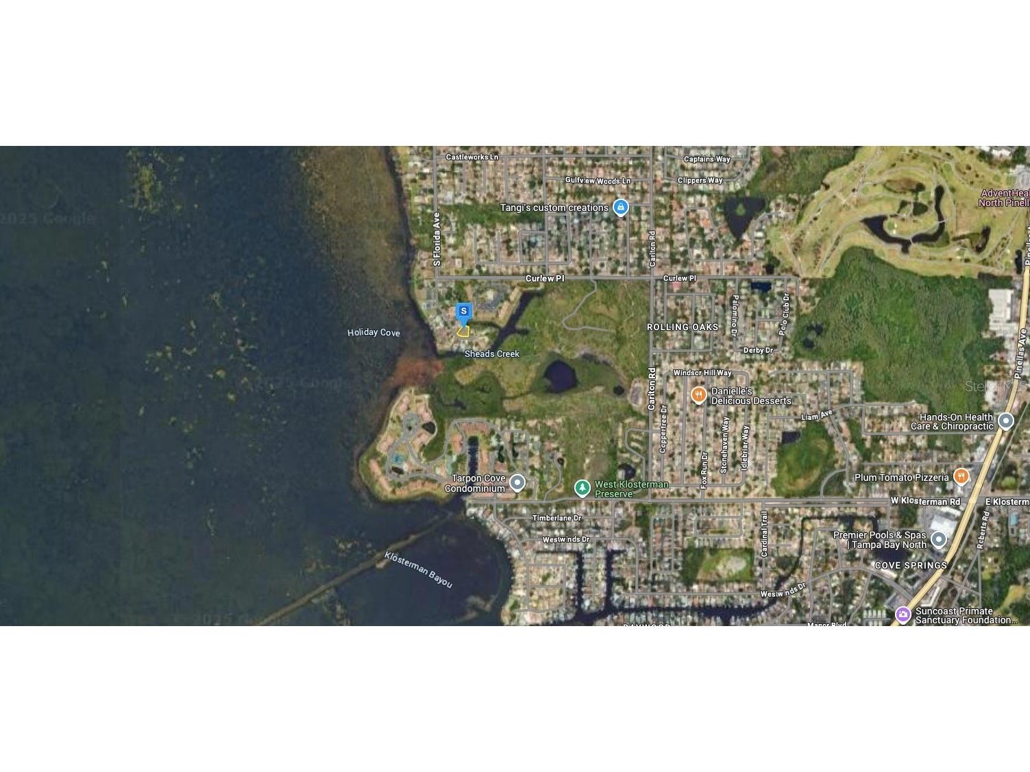 1137 Florida Avenue Tarpon Springs FL 34689 A4671179 image3