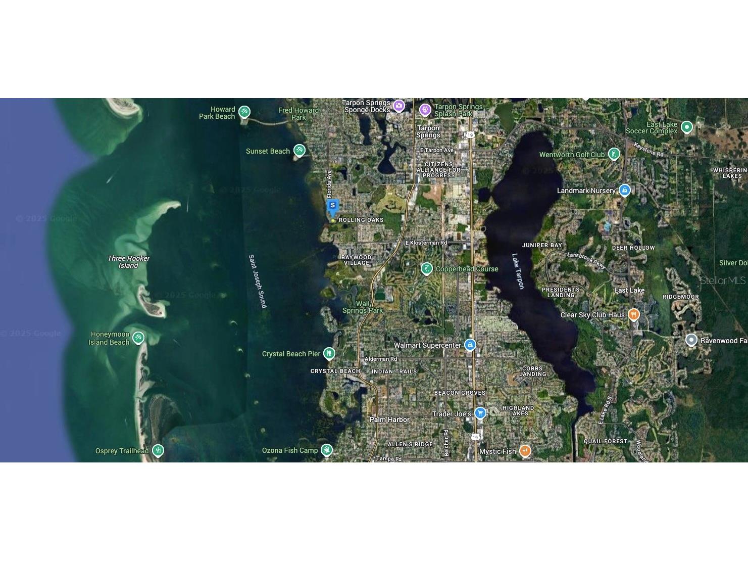 1137 Florida Avenue Tarpon Springs FL 34689 A4671179 image4