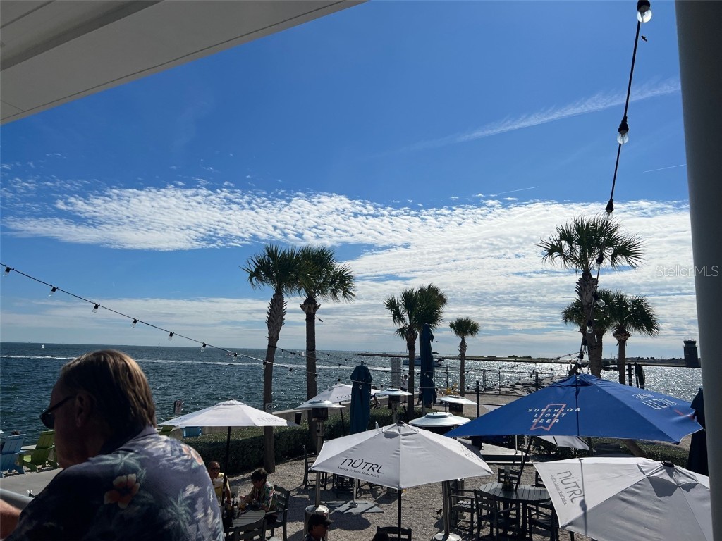 1137 Highland Street S Saint Petersburg FL 33701 TB8419127 image31