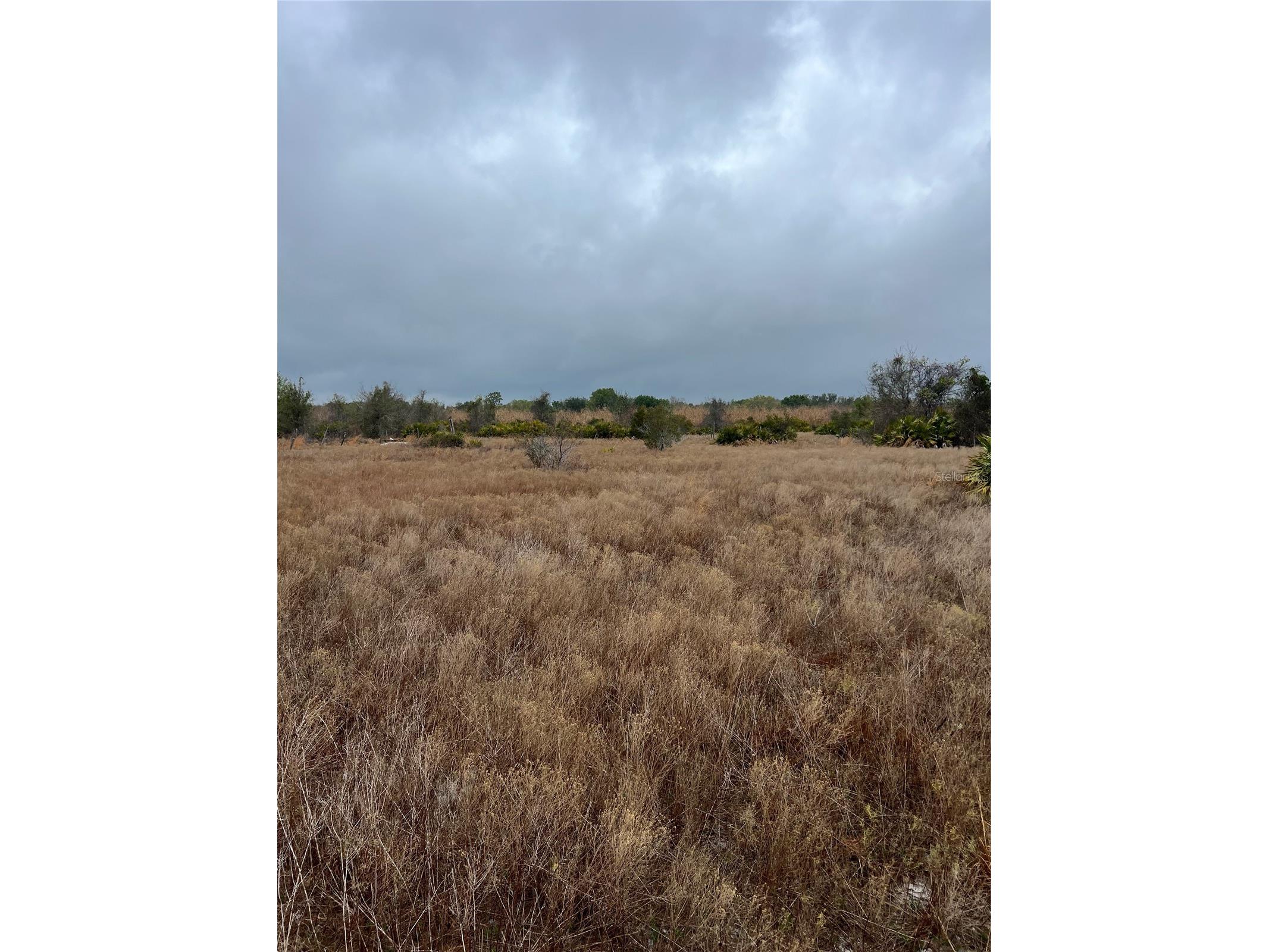 1137 Hopkins Lane Zolfo Springs FL 33890 L4960192 image3