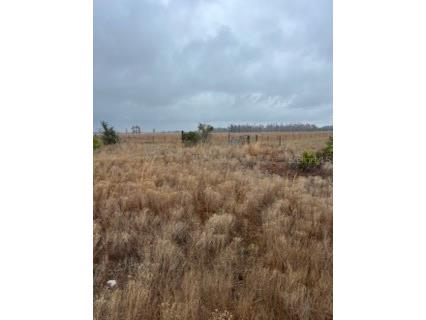1137 Hopkins Lane Zolfo Springs FL 33890 L4960192 image4
