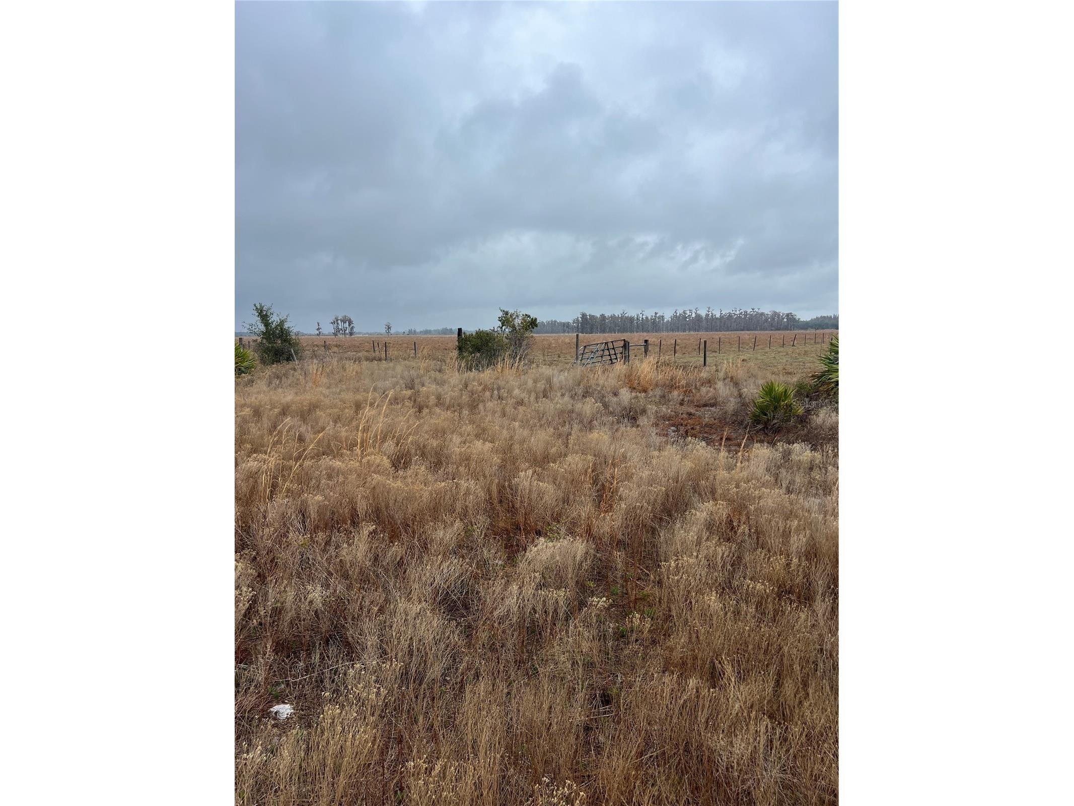 1137 Hopkins Lane Zolfo Springs FL 33890 L4960193 image2