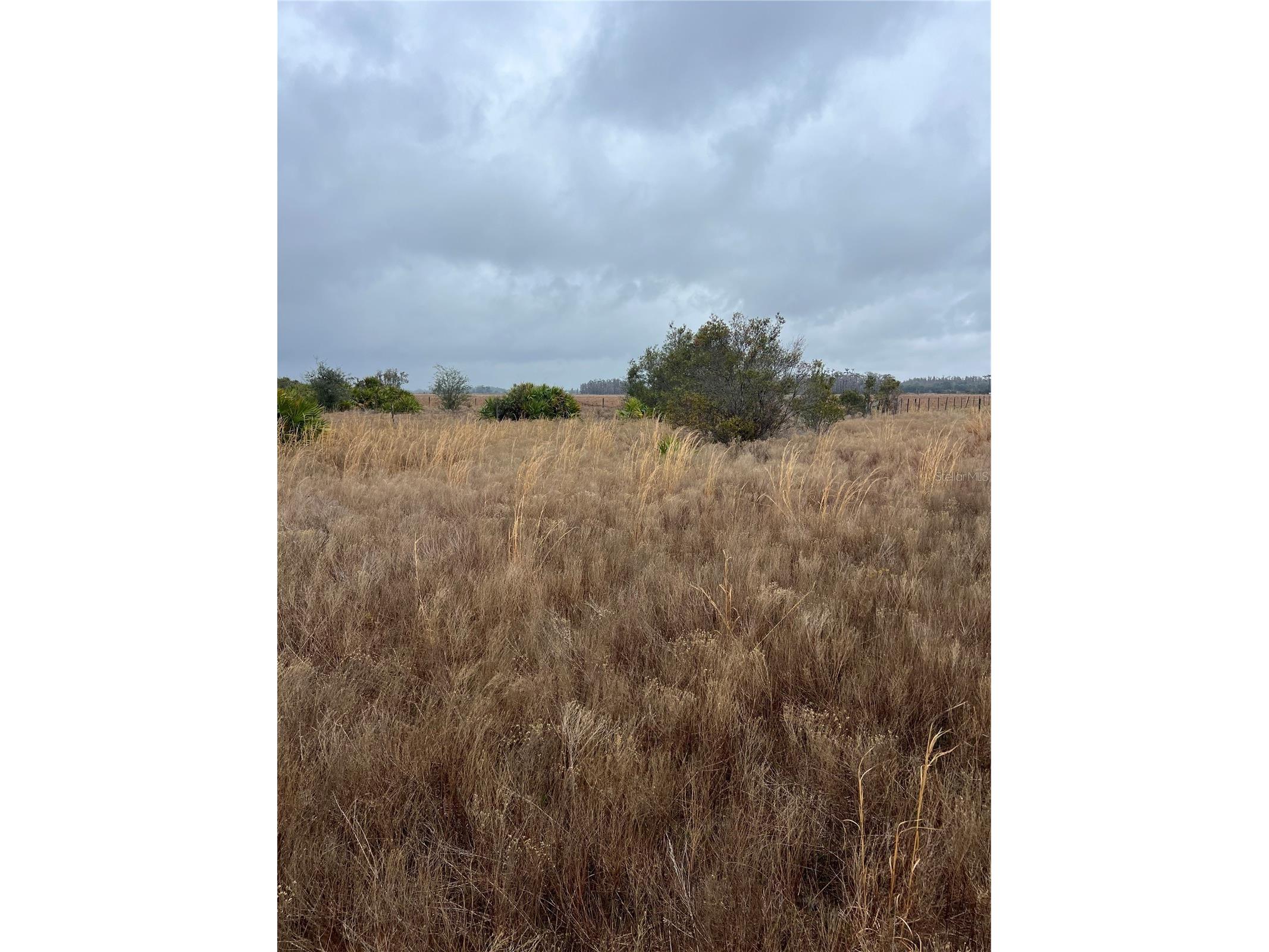 1137 Hopkins Lane Zolfo Springs FL 33890 L4960193 image3