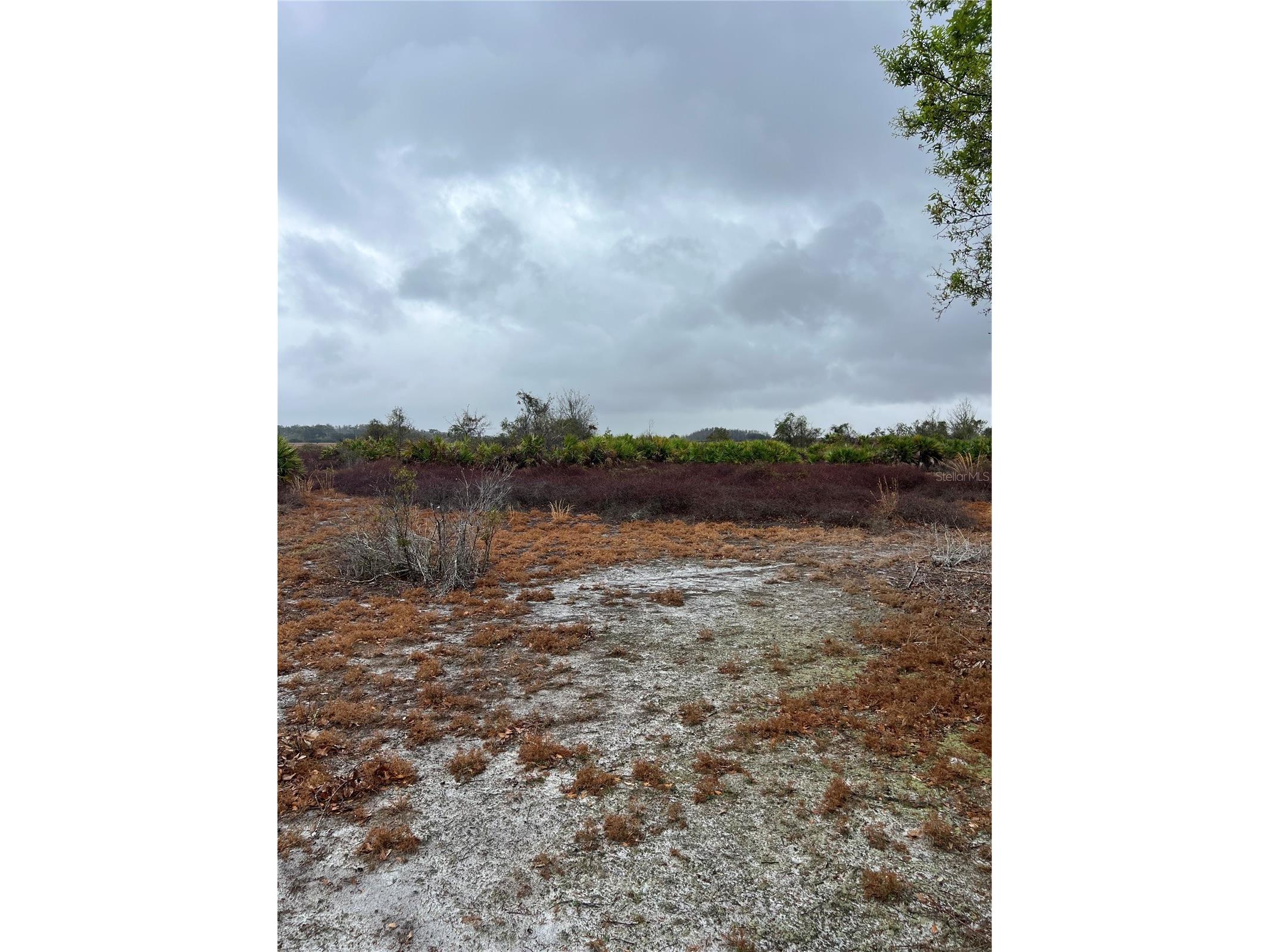 1137 Hopkins Lane Zolfo Springs FL 33890 L4960193 image5
