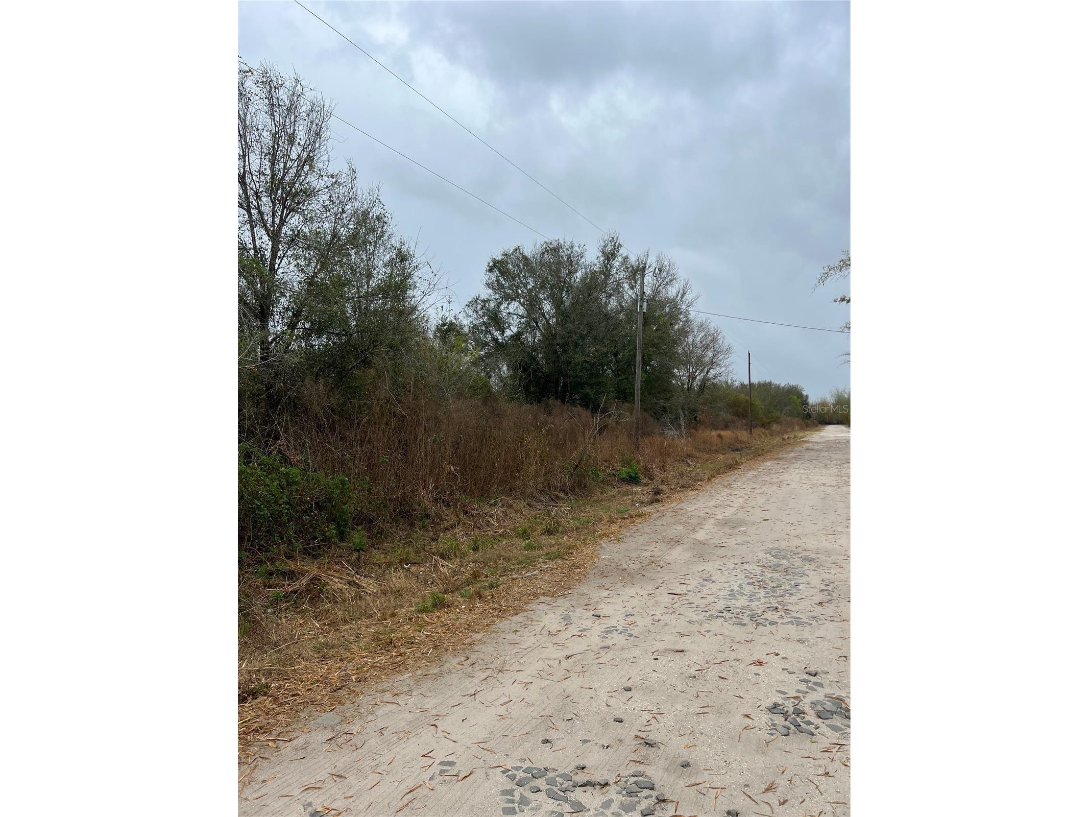 1137 Hopkins Lane Zolfo Springs FL 33890 L4960193 image6