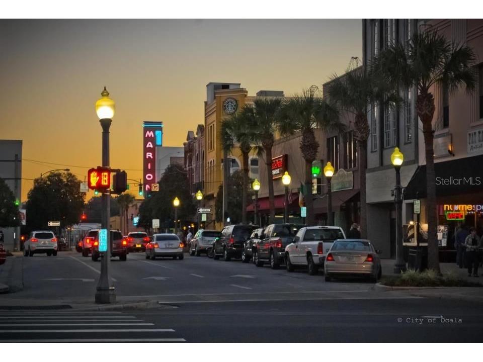 1137 NE 9th Street Ocala FL 34470 OM705881 image22