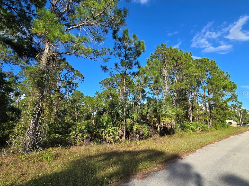 1137 Rambler Street Lehigh Acres FL 33974 O6354551 image1